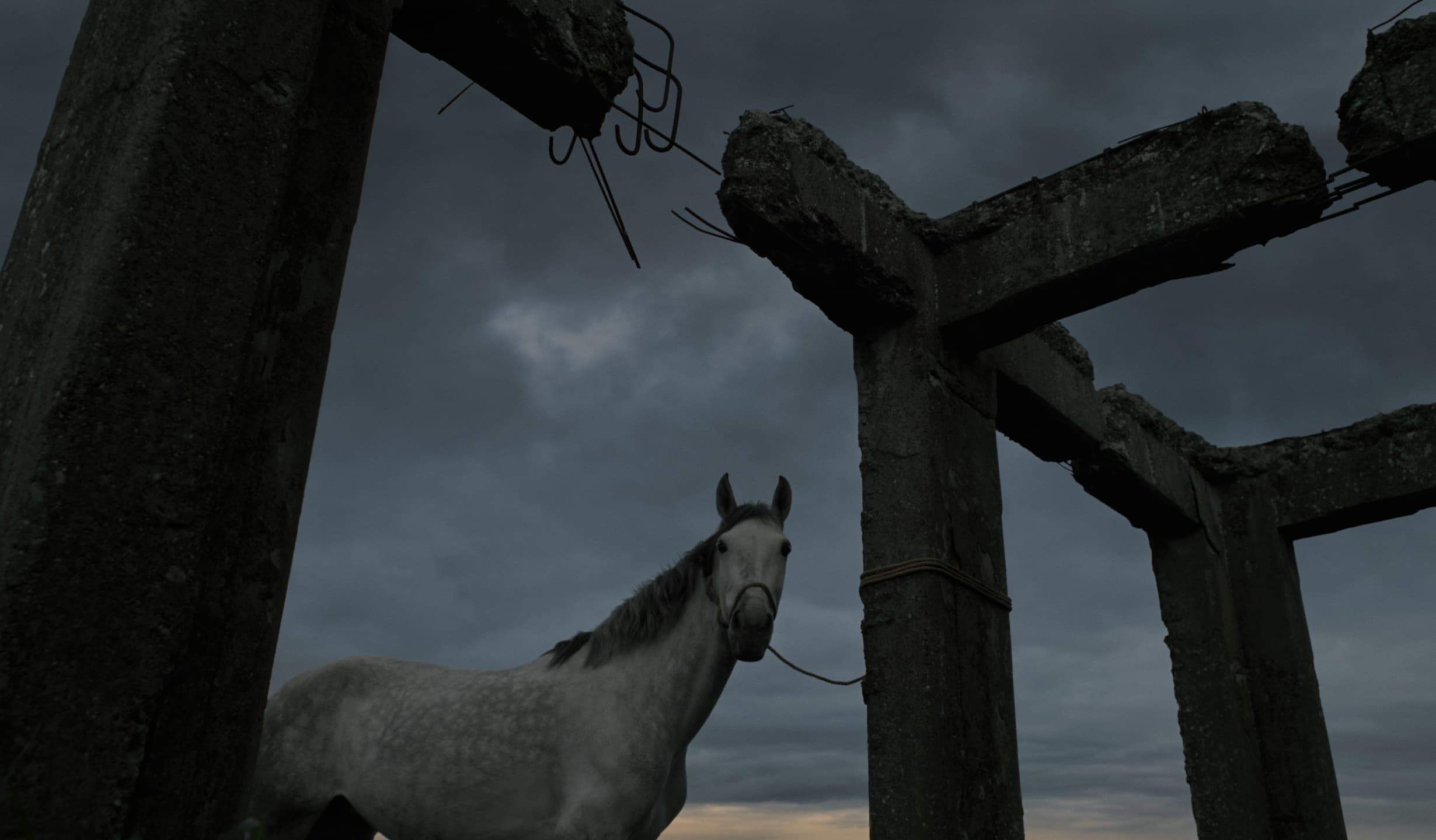 DEMON by Enea Colombi